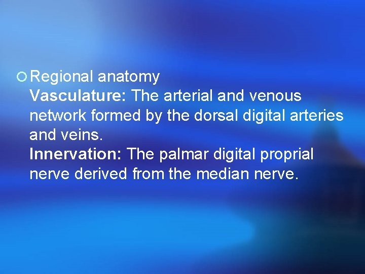 ¡ Regional anatomy Vasculature: The arterial and venous network formed by the dorsal digital
