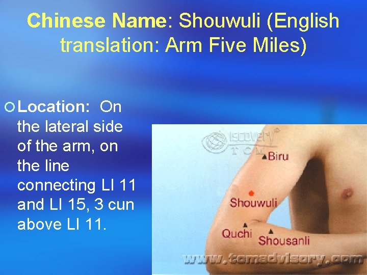 Chinese Name: Shouwuli (English translation: Arm Five Miles) ¡ Location: On the lateral side