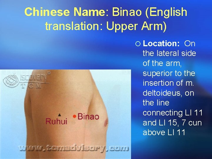 Chinese Name: Binao (English translation: Upper Arm) ¡ Location: On the lateral side of