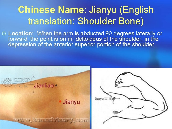 Chinese Name: Jianyu (English translation: Shoulder Bone) ¡ Location: When the arm is abducted