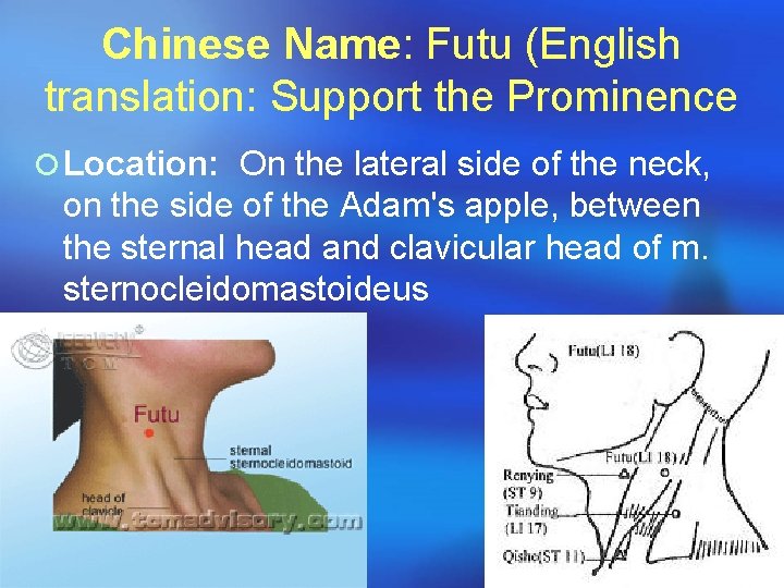 Chinese Name: Futu (English translation: Support the Prominence ¡ Location: On the lateral side