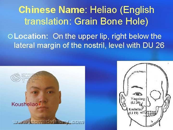 Chinese Name: Heliao (English translation: Grain Bone Hole) ¡ Location: On the upper lip,