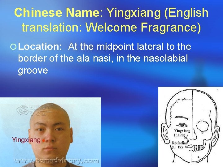 Chinese Name: Yingxiang (English translation: Welcome Fragrance) ¡ Location: At the midpoint lateral to