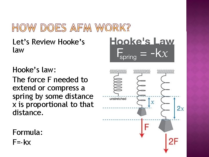 Let’s Review Hooke’s law: The force F needed to extend or compress a spring