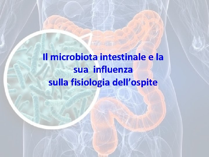 Il microbiota intestinale e la sua influenza sulla fisiologia dell’ospite 