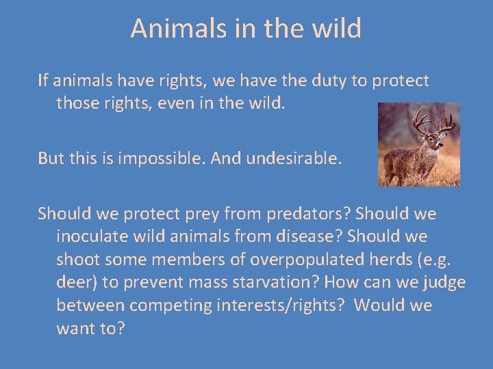 Animals in the wild If animals have rights, we have the duty to protect Animals in the wild If animals have rights, we have the duty to protect