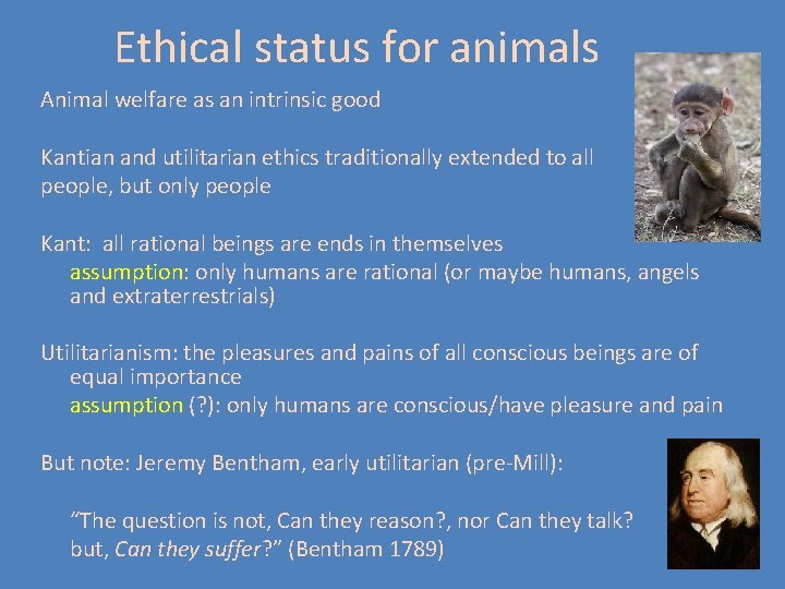 Ethical status for animals Animal welfare as an intrinsic good Kantian and utilitarian ethics Ethical status for animals Animal welfare as an intrinsic good Kantian and utilitarian ethics