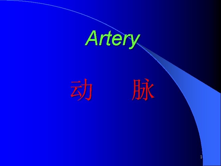 Artery 动 脉 1 