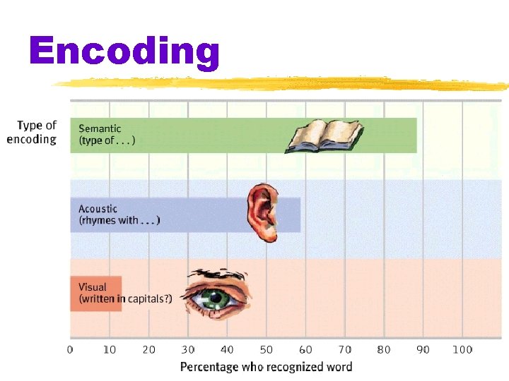 Encoding 