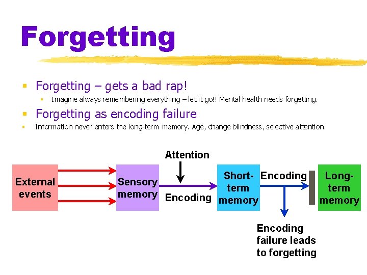 Forgetting § Forgetting – gets a bad rap! § Imagine always remembering everything –