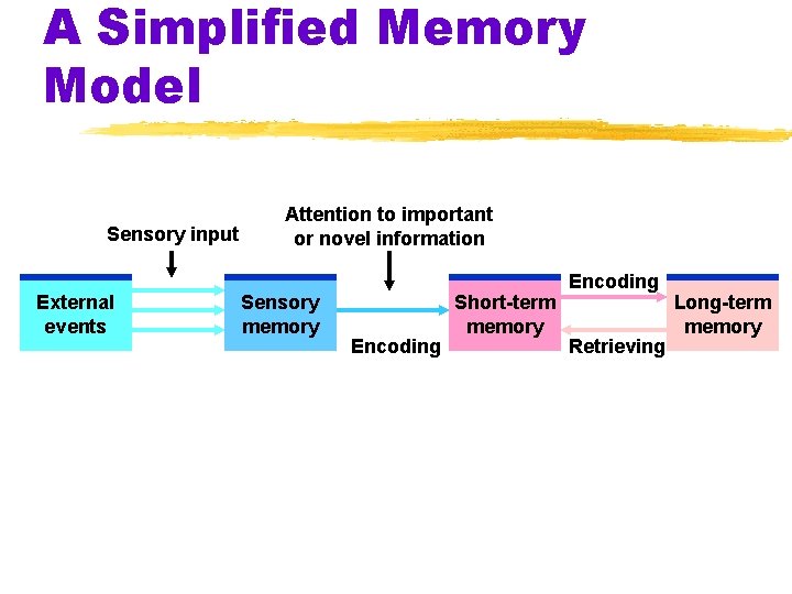 A Simplified Memory Model Sensory input External events Attention to important or novel information