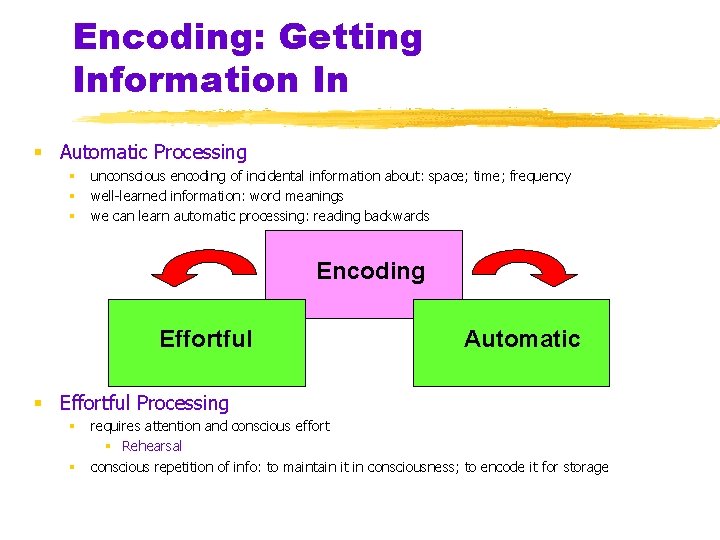 Encoding: Getting Information In § Automatic Processing § § § unconscious encoding of incidental