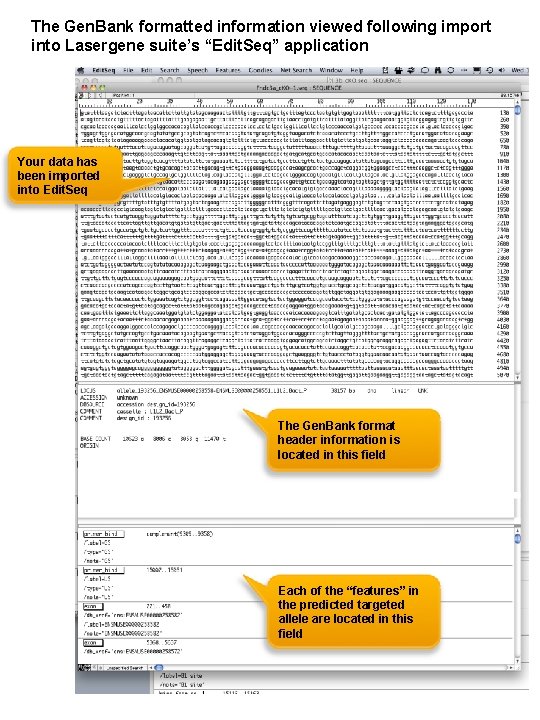 The Gen. Bank formatted information viewed following import into Lasergene suite’s “Edit. Seq” application