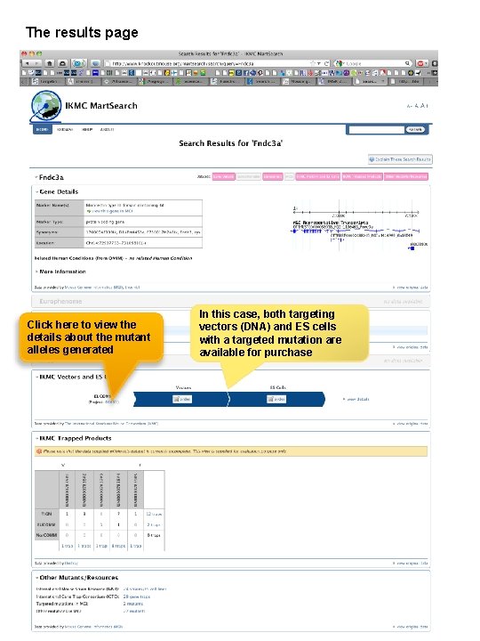 The results page Click here to view the details about the mutant alleles generated