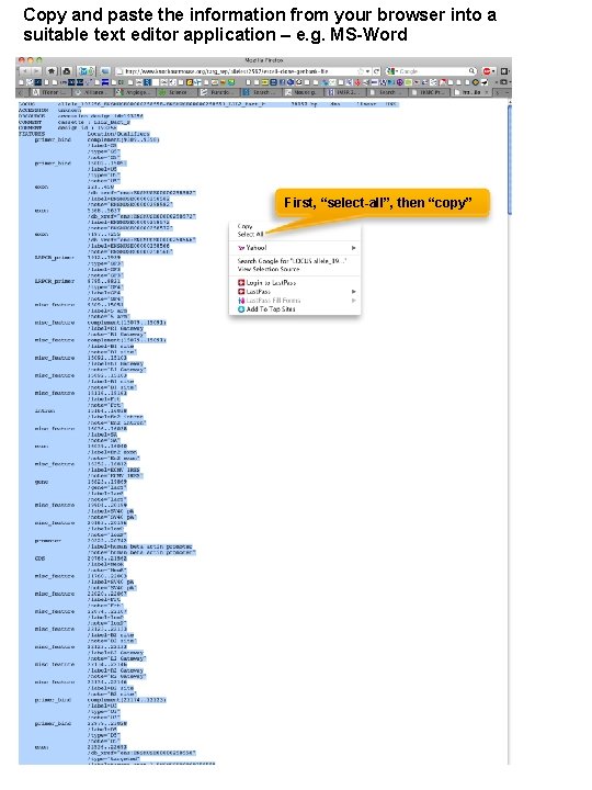 Copy and paste the information from your browser into a suitable text editor application