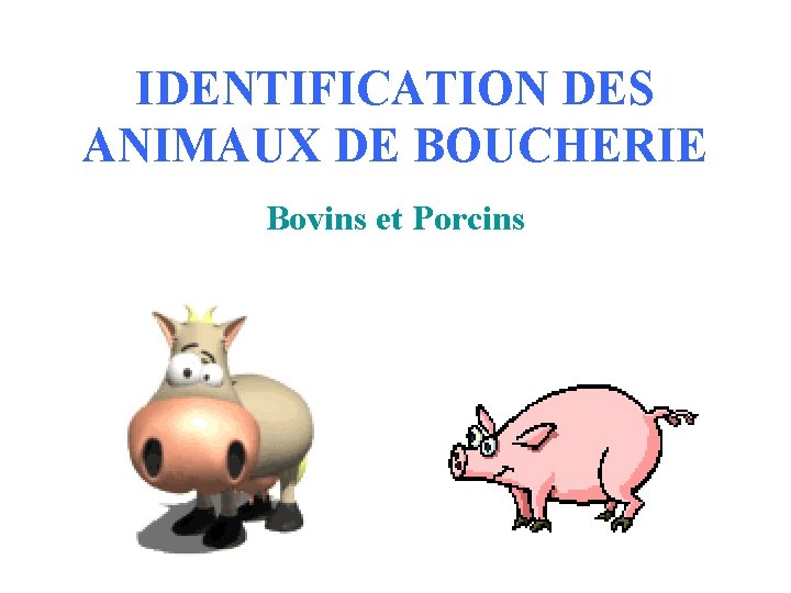 IDENTIFICATION DES ANIMAUX DE BOUCHERIE Bovins et Porcins 