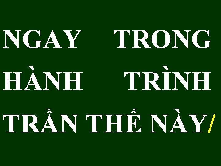 NGAY TRONG HÀNH TRÌNH TRẦN THẾ NÀY/ 