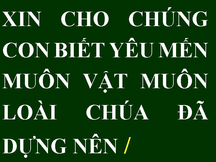 XIN CHO CHÚNG CON BIẾT YÊU MẾN MUÔN VẬT MUÔN LOÀI CHÚA ĐÃ DỰNG