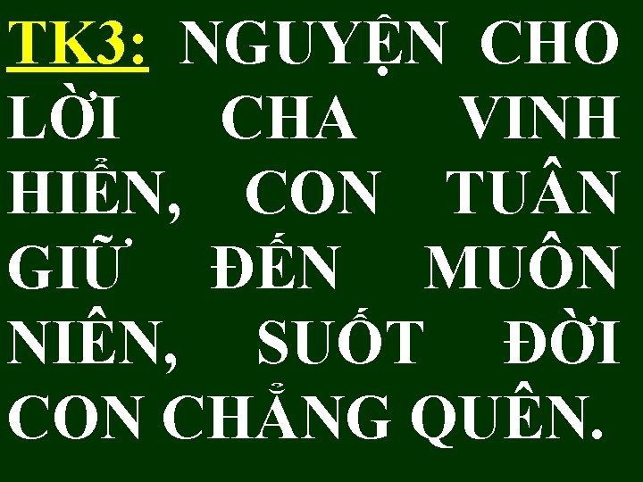 TK 3: NGUYỆN CHO LỜI CHA VINH HIỂN, CON TU N GIỮ ĐẾN MUÔN