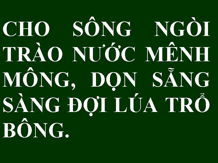 CHO SÔNG NGÒI TRÀO NƯỚC MÊNH MÔNG, DỌN SẴNG SÀNG ĐỢI LÚA TRỔ BÔNG.