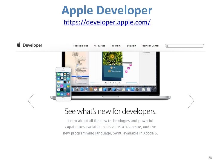 Apple Developer https: //developer. apple. com/ 28 