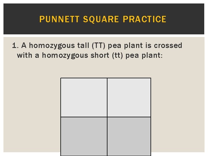 PUNNETT SQUARE PRACTICE 1. A homozygous tall (TT) pea plant is crossed with a