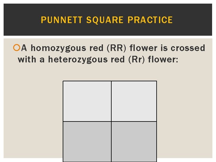 PUNNETT SQUARE PRACTICE A homozygous red (RR) flower is crossed with a heterozygous red