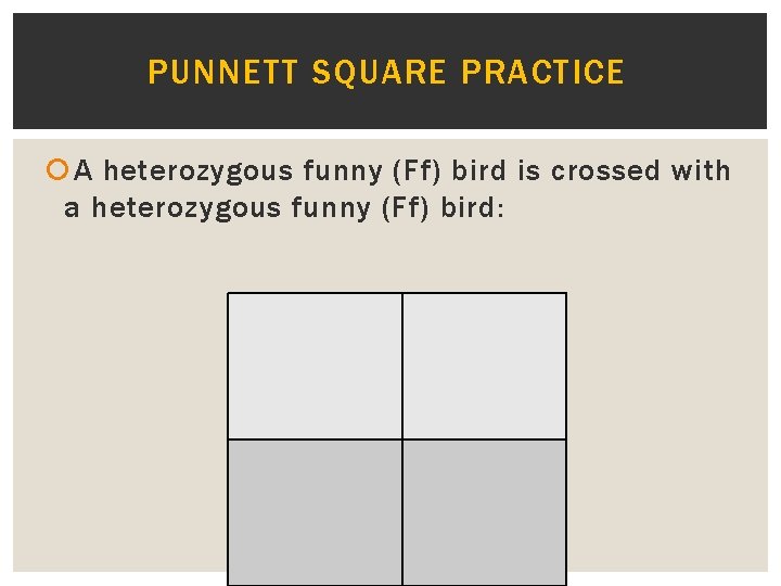 PUNNETT SQUARE PRACTICE A heterozygous funny (Ff) bird is crossed with a heterozygous funny