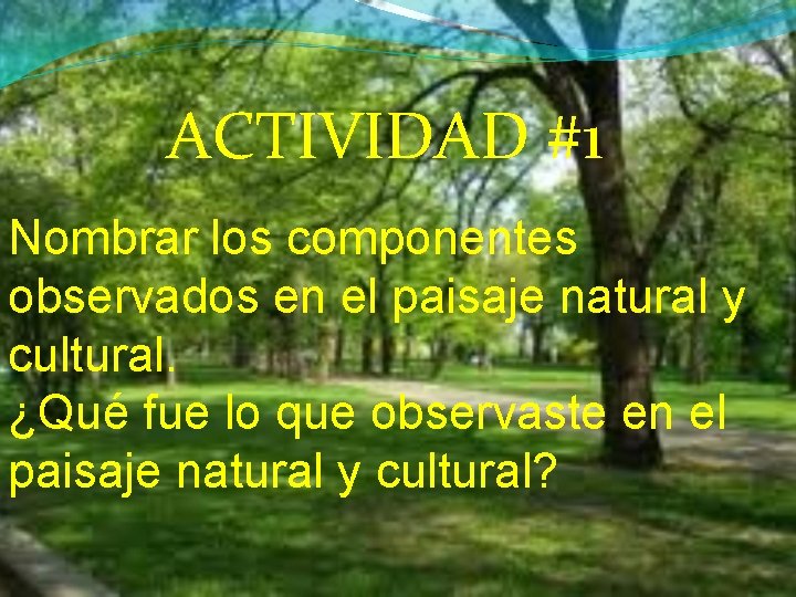 ACTIVIDAD #1 Nombrar los componentes observados en el paisaje natural y cultural. ¿Qué fue