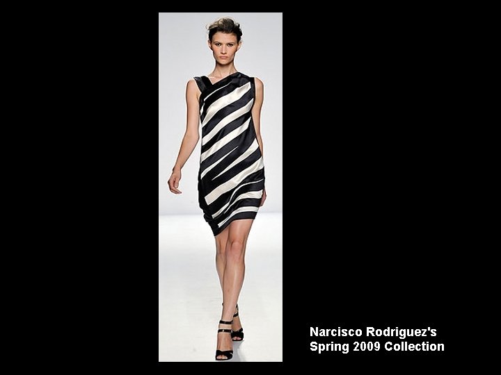 Narcisco Rodriguez's Spring 2009 Collection 