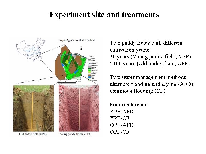 Experiment site and treatments Two paddy fields with different cultivation years: 20 years (Young