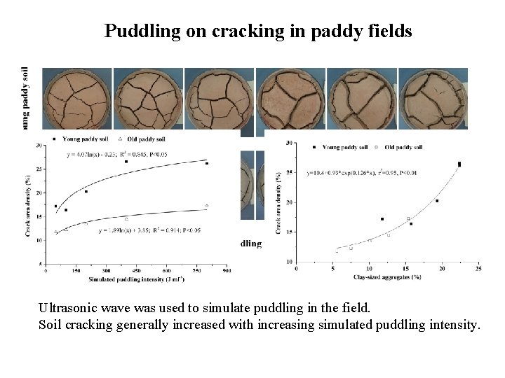 Puddling on cracking in paddy fields Ultrasonic wave was used to simulate puddling in
