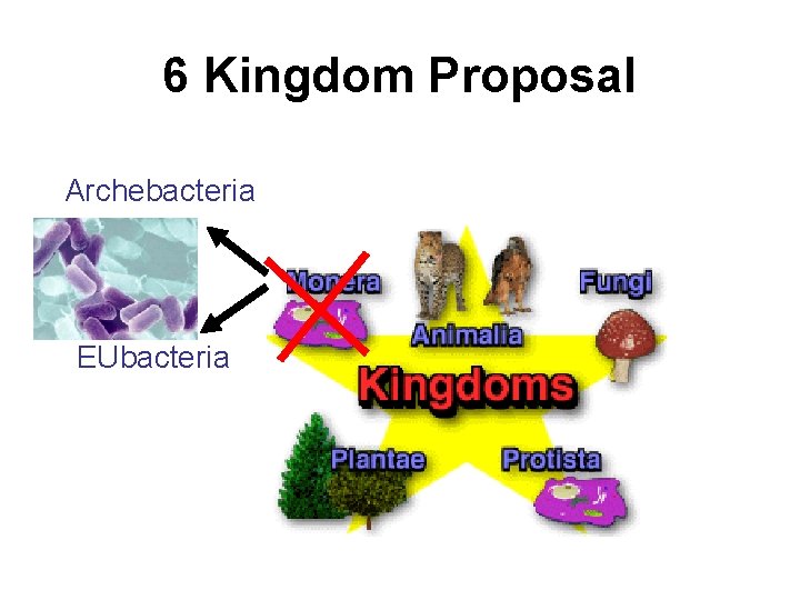 6 Kingdom Proposal Archebacteria EUbacteria 