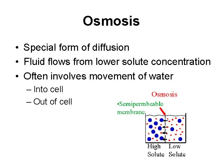 Osmosis • Special form of diffusion • Fluid flows from lower solute concentration •