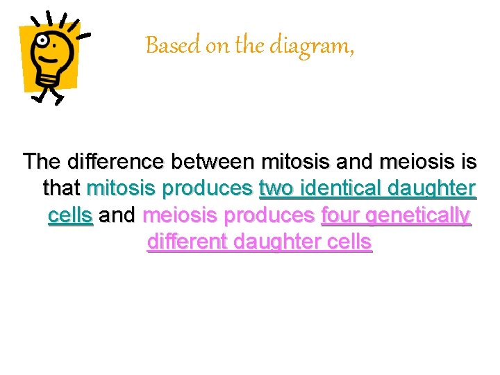Based on the diagram, The difference between mitosis and meiosis is that mitosis produces