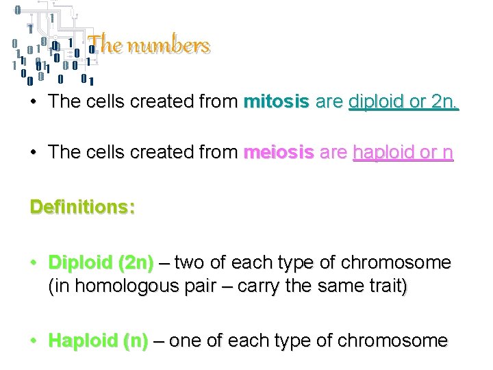 The numbers • The cells created from mitosis are diploid or 2 n. •