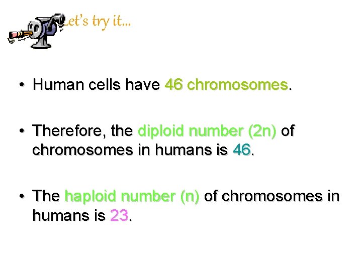 Let’s try it… • Human cells have 46 chromosomes. • Therefore, the diploid number