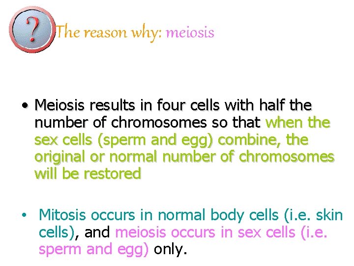 The reason why: meiosis • Meiosis results in four cells with half the number