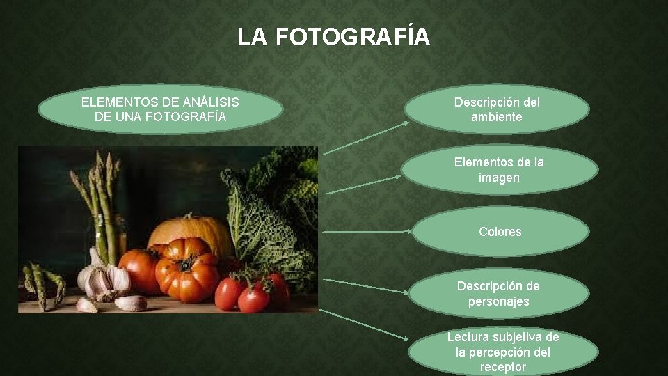 LA FOTOGRAFÍA ELEMENTOS DE ANÁLISIS DE UNA FOTOGRAFÍA Descripción del ambiente Elementos de la