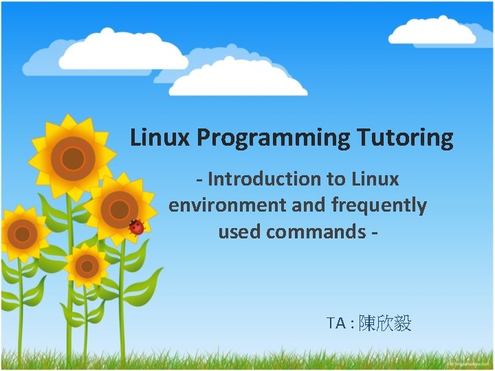 Linux Programming Tutoring - Introduction to Linux environment and frequently used commands - TA