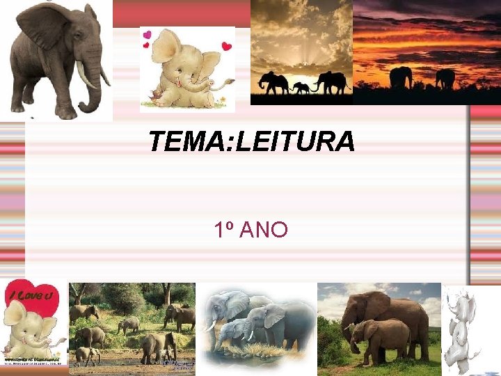 TEMA: LEITURA 1º ANO 