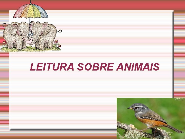 LEITURA SOBRE ANIMAIS 