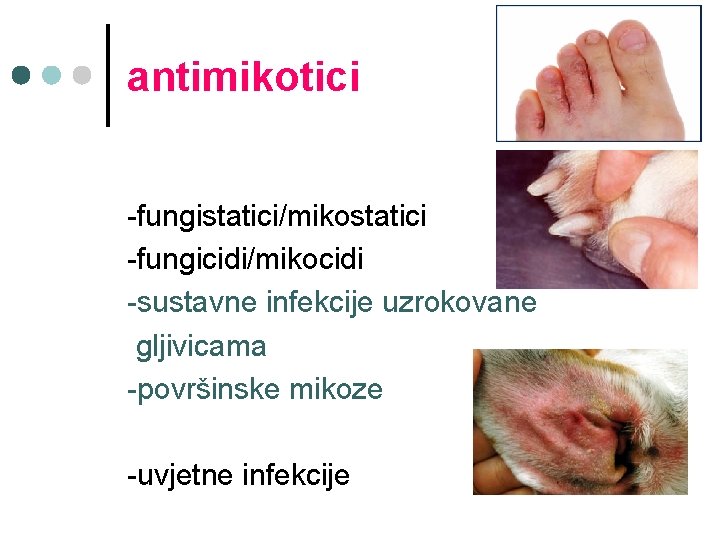 antimikotici -fungistatici/mikostatici -fungicidi/mikocidi -sustavne infekcije uzrokovane gljivicama -površinske mikoze -uvjetne infekcije 