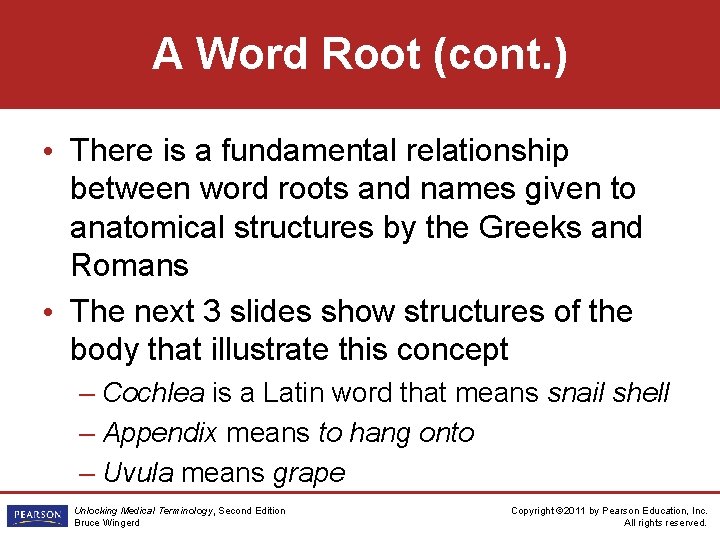 A Word Root (cont. ) • There is a fundamental relationship between word roots