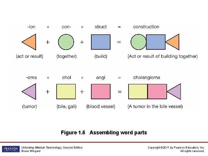 Figure 1. 6 Assembling word parts Unlocking Medical Terminology, Second Edition Bruce Wingerd Copyright