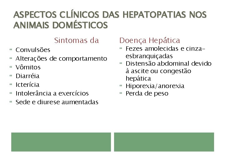 ASPECTOS CLÍNICOS DAS HEPATOPATIAS NOS ANIMAIS DOMÉSTICOS Sintomas da Convulsões Alterações de comportamento Vômitos