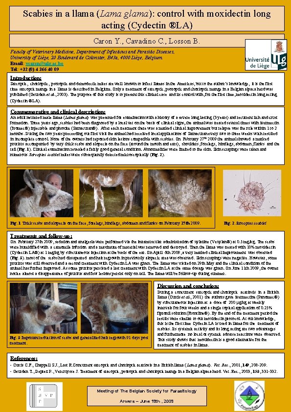 Scabies in a llama (Lama glama): control with moxidectin long acting (Cydectin ®LA) Caron