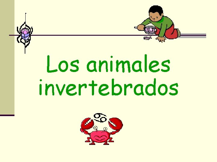 Los animales invertebrados 
