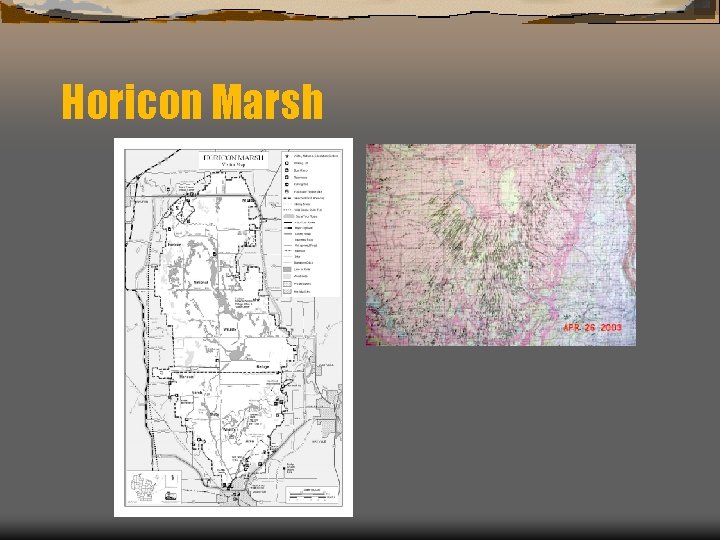 Horicon Marsh 