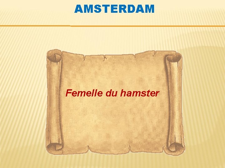 AMSTERDAM Femelle du hamster 